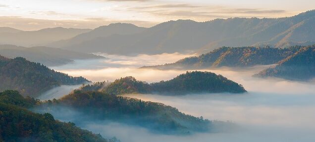 AdobeStock_231868702