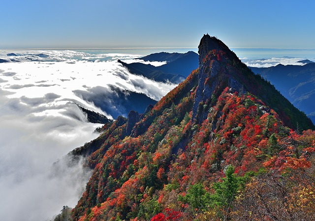 AdobeStock_385272900